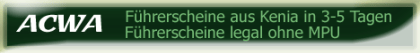 Führerschein Probleme