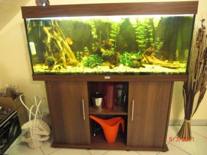 Komplett Aquarium Juwel Rio 240 Liter Dunkelbraun inkl. Außenfilter Fluval