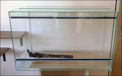 Glasterrarium für Reptilien Nager- und Kleintiere