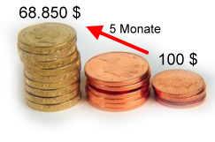 Top-Investment 100 5 Monate 68. 850