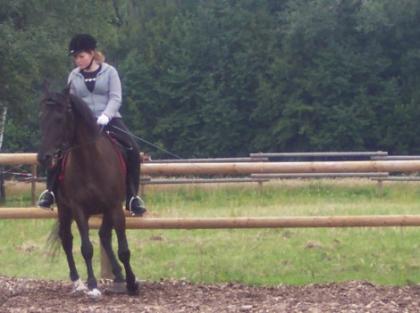 Suche Reitbeteiligung/Pflegepferd Stuttgart