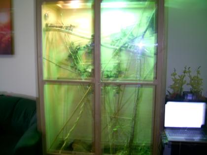 GRosses Holzterrarium zu verkaufen 200Euro vb