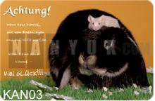 Fun - Metall - Warnschild KANINCHEN / HASE