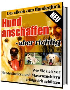Hund anschaffen aber richtig Das eBook zum Hundeglück