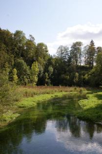 Naturfotografien einheimische Tier- und Pflanzenarten Landschaften Wasser uvm.