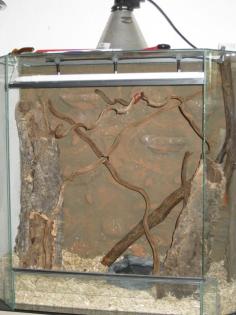 Panorama - Terrarium B80 x T40 x H 80 mit Einrichtung Rückwand und Technik