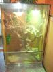 Volleingerichtetes Terrarium 150x100x50cm- TOP