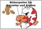 Blütenpollen Zusatzfutter für Garnelen Schnecken Krebse und Jungfisch 50g