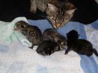Jaaaaaaaaaaaaaaaaaaaaa wir sind endlich da