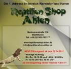 Terraristik Fachgeschäft in Ahlen