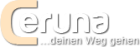Registrieren Sie sich jetzt kostenlos für Ihr Gratisgespräch bei Ceruna. de
